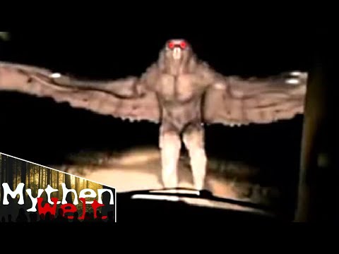 The True Story of the Mothman