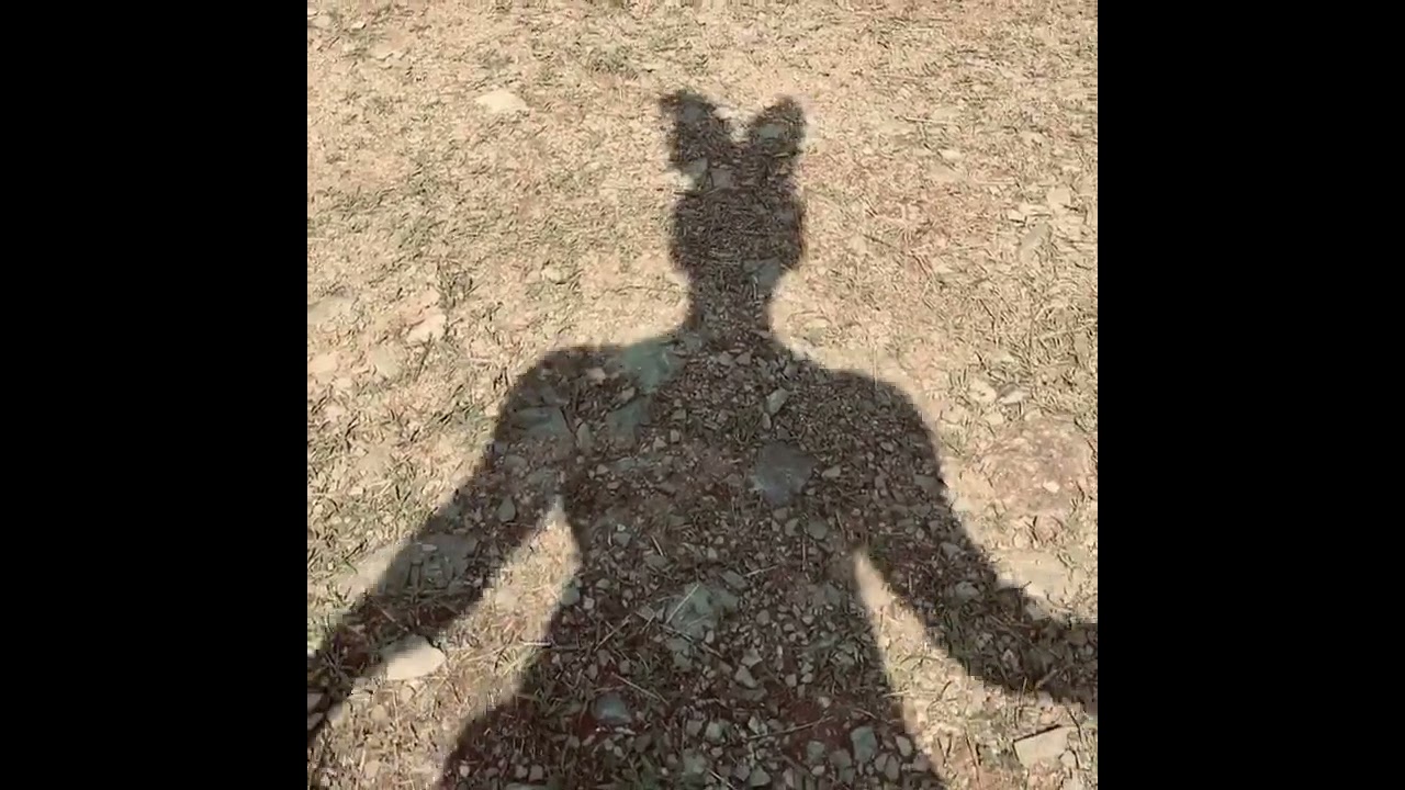 Shadow Dancing