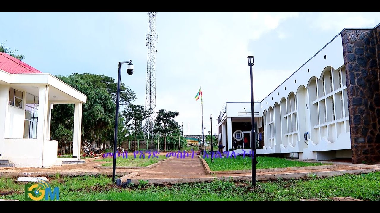MESOB Center Services – Organizations, Services, Requirements, Fees ...