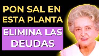 Pon Sal en esta Planta y Atrae Dinero | Conny Méndez