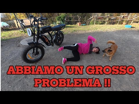 WE HAVE A BIG PROBLEM #mountain #mountainlife #countrylife