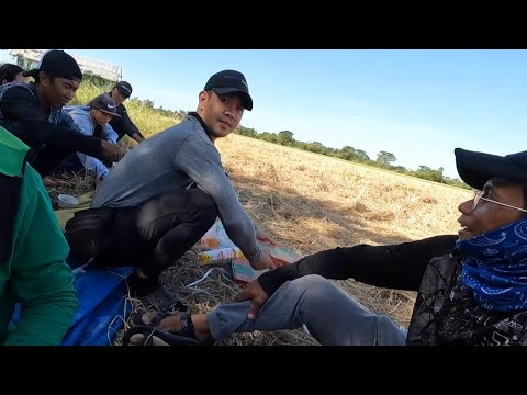 EP808-P2 - Patanim ng Pakwan at Melon | Occ. Mindoro