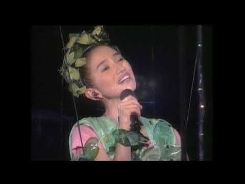 DREAMS COME TRUE - す き