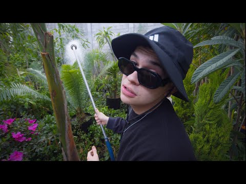 Luis Mint - VINO ROSÉ (Video Oficial)