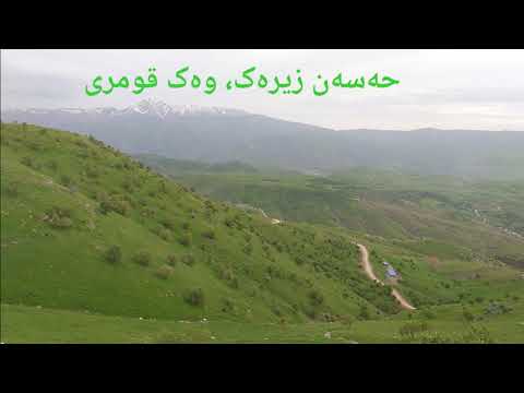 Hassan Zirak, Wek qumri حەسەن زیرەک، وەک قومری