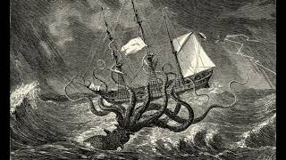BRSO - KRAKEN