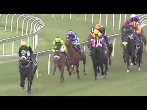 2015.10.31 CTS Emperors Palace Ready To Run Cup (RSA) - Champagne Haze