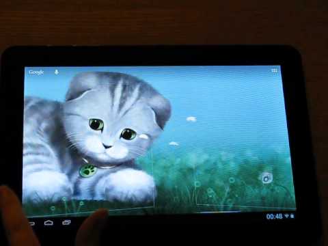 Silvery the Kitten Video