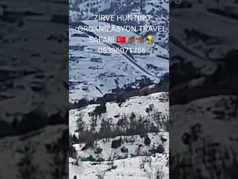 Zirve Hunting Organizasyon Safari