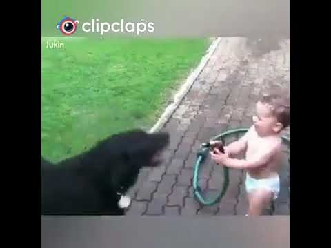 Cute baby loves pets