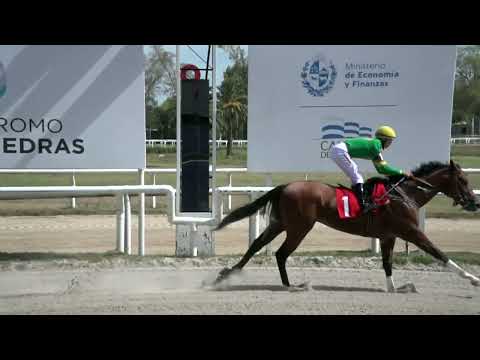 230224 c01 - SPECIAL ENERGY (BRZ) - HIPODROMO LAS PIEDRAS