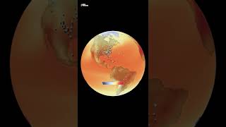 Interesting Bird Migration Pattern