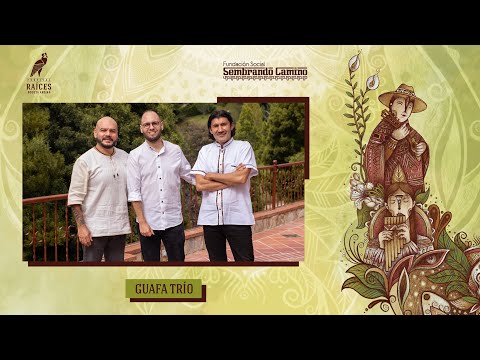 Concierto - Guafa Trio - Festival Raíces Bogotá Andina 2021