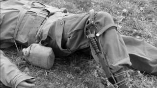 Der fremde Soldat ( Ludwig Hirsch )