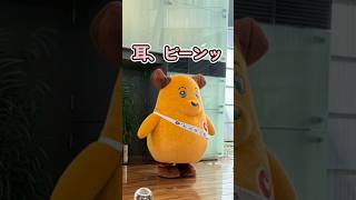 カスタム君に会ってきた！＠横浜税関 庁舎公開（2026/6/6）