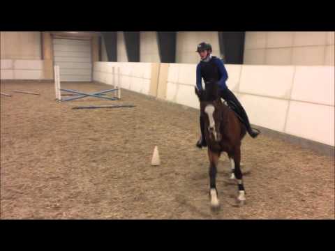 Sprangtrening med Magne 06.01.2016
