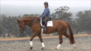 Video von First Famous