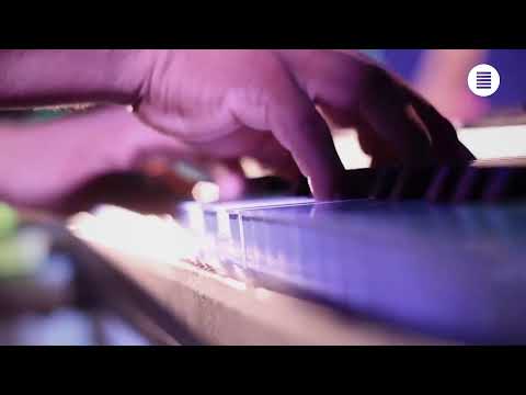 PROGRAMA: ALEGRÍA EN LA SELVA