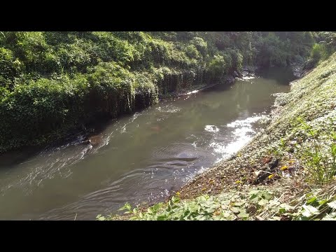 SE03EP047 Part 2 - " PAKIRAMDAMAN sa  TAHIMIK na ILOG | San Pablo City, Laguna