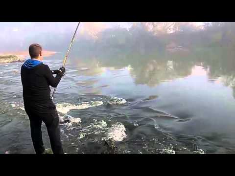 velika morava 2o15 god...RIBARE