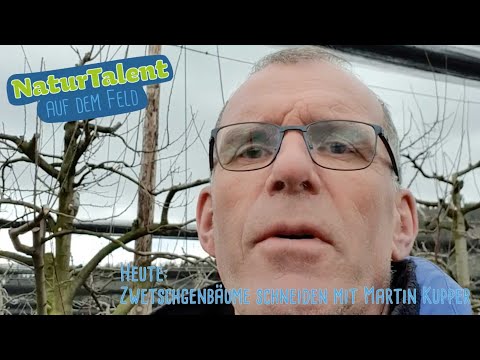 NaturTalent auf dem Feld: Zwetschgenbäume schneiden mit Martin Kupper
