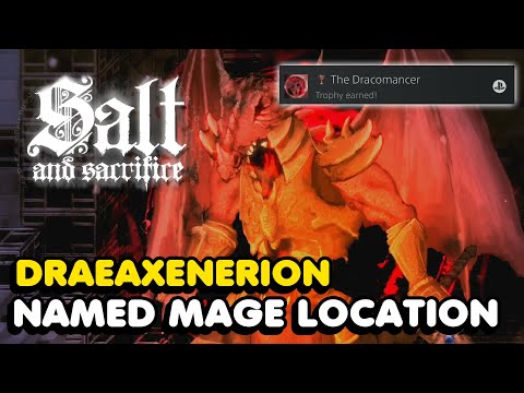 Salt And Sacrifice - The Dracomancer Trophy Guide (Draeaxenerion Named Mage Location)
