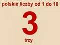 Polish Numbers - 10 to 10