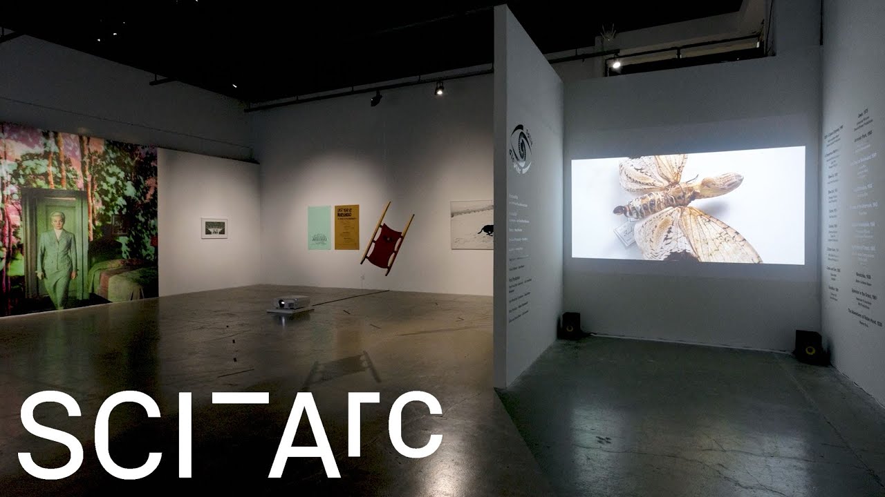 Split Diopter: At the Seam of Art and Cinema