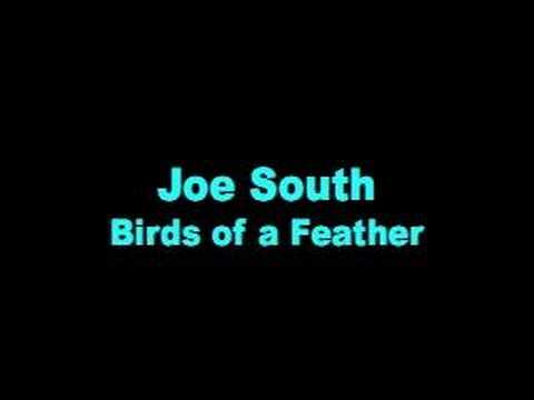 Video thumbnail for Birds of a Feather