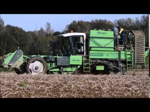 Aardappelen rooien met AVR Netagco 2014