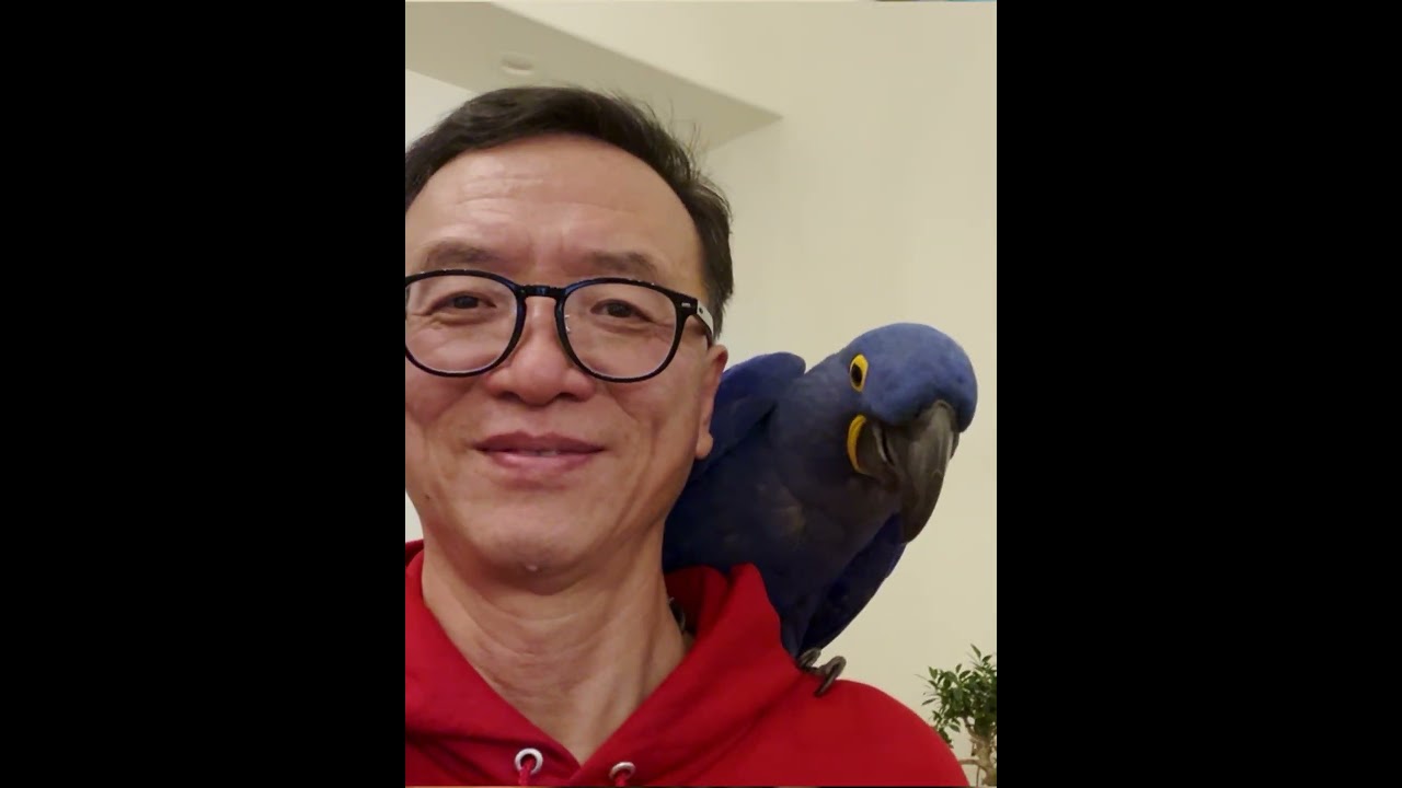 Promotional video thumbnail 3 for Chinese Flute  And Wind Instruments