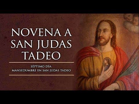 Novena a San Judas Tadeo Día 7 - El Verbo Encarnado - 25 de octubre