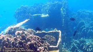 preview picture of video 'Sugar Beach: Snorkeling with Scuba Planet Philippines'