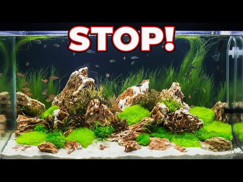 STOP Doing THIS If You Want Crystal Clear Aquarium Water!