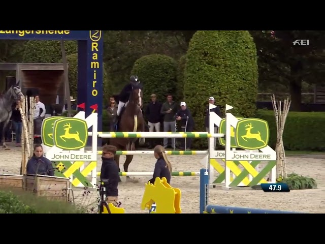 Full sister of Dieks van Rechteren Z is the 6 years old World Champion Finalist 6 years BP le Tata.