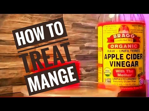 How to treat Scabies / Mange for Cats and Dogs Using APPLE CIDER VINEGAR| Paano gamutin ang galis