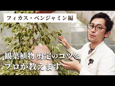 アッシャー・ベンジャミンについて詳しく解説