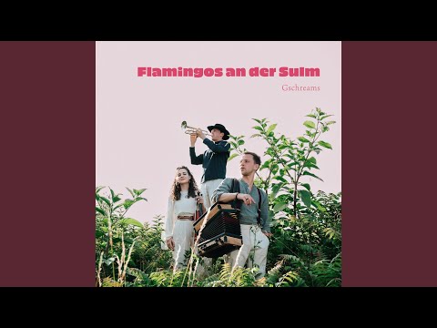 Südwind Dreiviertler (feat. Ludwig Biegel)