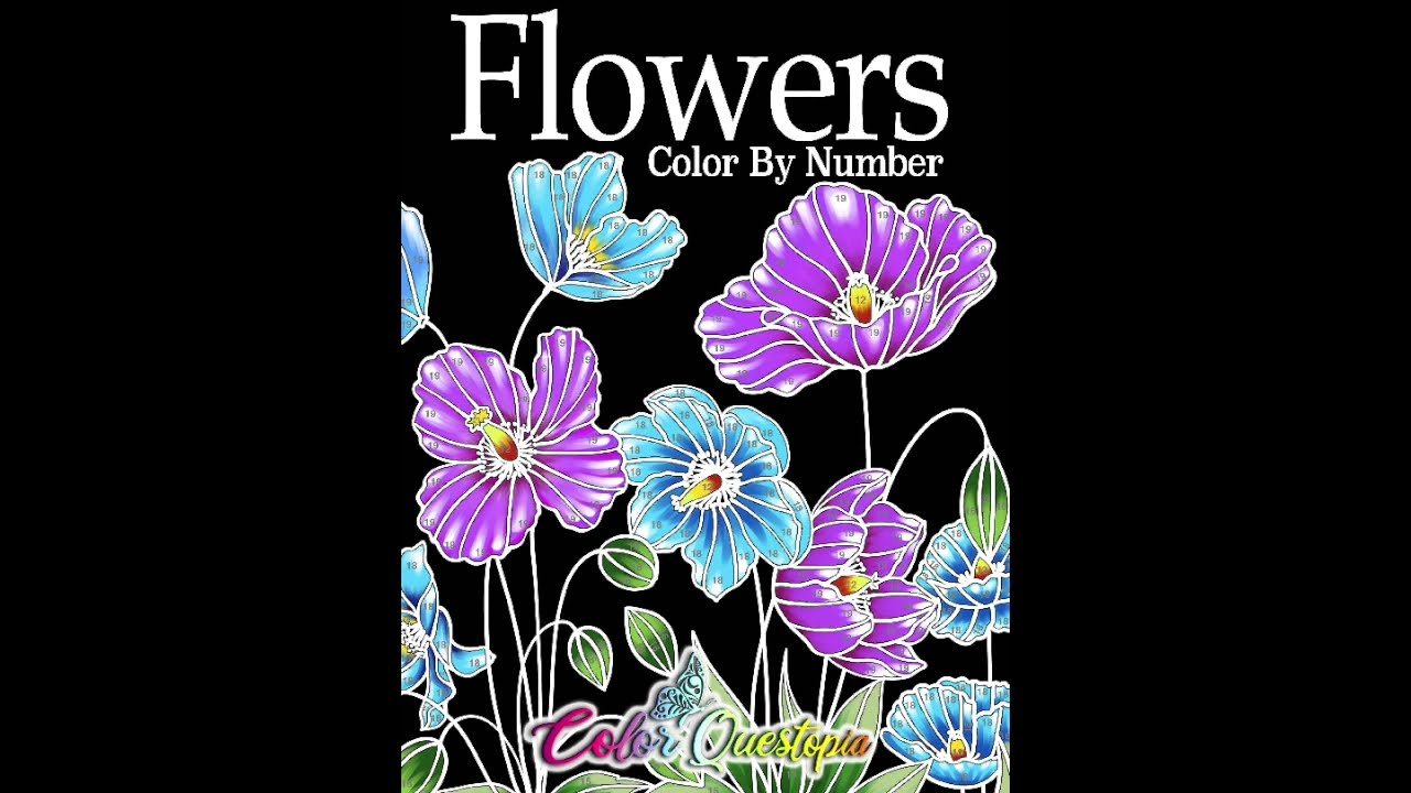 Flowers Color By Number Coloring Book   FLIP THROUGH - Color Questopia