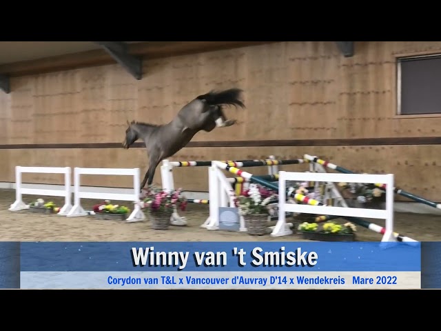 jumping