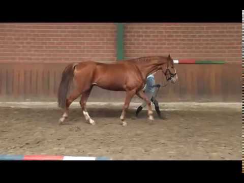 Fashion Maker x Londontime