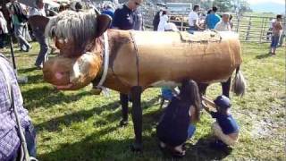 preview picture of video 'Kinderspielplatz Schwarzwald Weidefest Kinderprogramm'