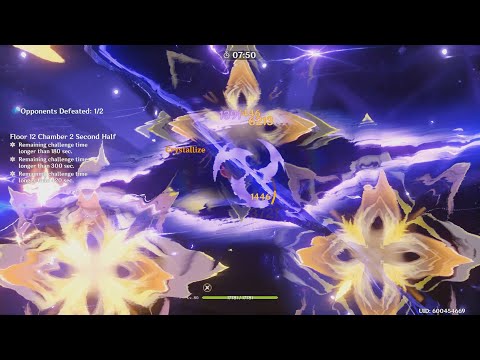 Spiral Abyss Raiden Shogun x Hu Tao