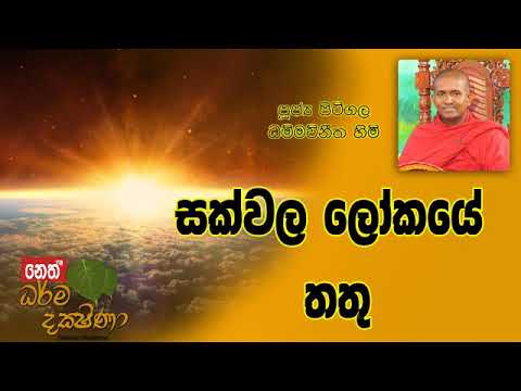 Darma Dakshina 2019.01.23 - Pitigala Dhammawinitha Himi