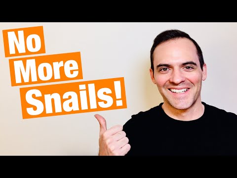 3 Ways To Get Rid Of Aquarium Pest Snails