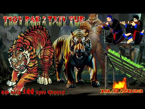 dab neeg thaum ub tsov los pab 2 txiv tub txaus ntshai heev