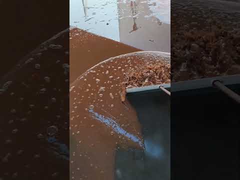 Tok final Rio Verde Goiás