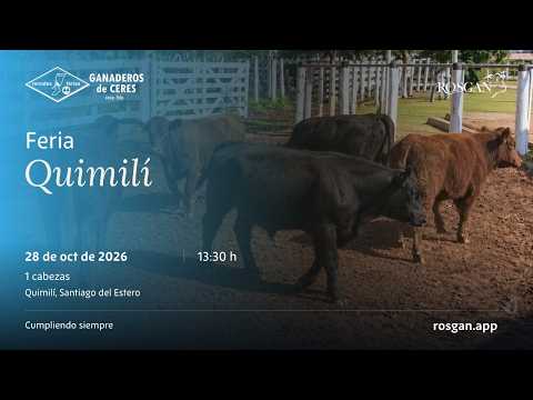 Feria Quimilí | Quimilí, Santiago del Estero