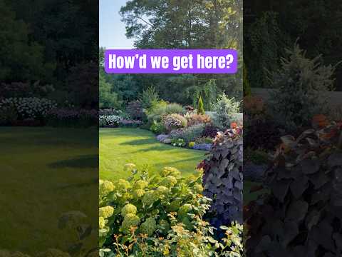 How Did We Get Here? 🌱 Epic Garden Transformation Before & After