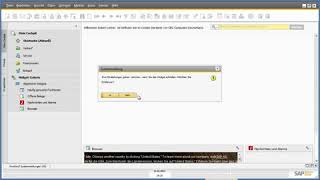 SAP Business One - das Cockpit (1/6) SAP Business One - das Cockpit (1/6)